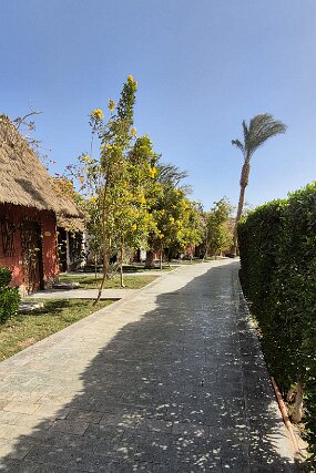 IMG-20260124-WA0005 null