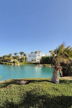 IMG-20260125-WA0015 null